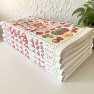 H071  Paper Model – Fruit & Grocery Shop